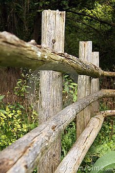 an old wooden fence in the woods