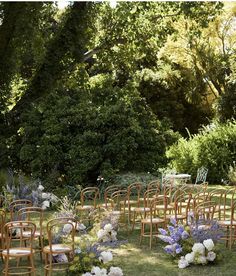 rows of chairs set up in the middle of a garden with flowers and greenery