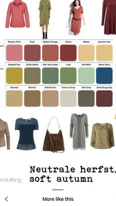 the color chart for neutral and soft autumn