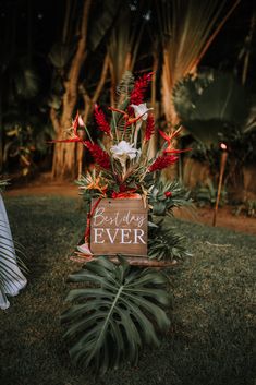 a wooden sign sitting on top of a lush green field next to a palm tree