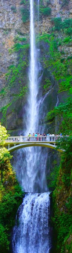 people are standing on a bridge over a waterfall and looking at the water fall below