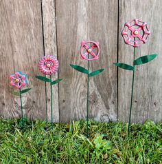 three pink and blue flowers sitting on top of green grass next to a wooden fence