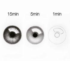 three different types of eyeballs are shown