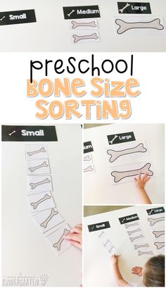 a collage of pictures showing how to cut out bones and name tags for a bone size sorting activity