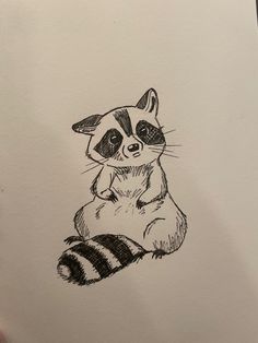 a drawing of a raccoon sitting on its hind legs