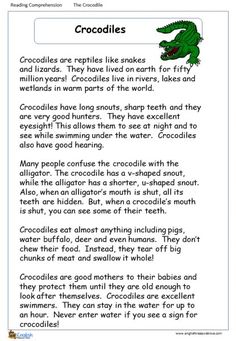 a page from the crocodile book