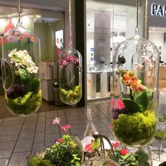 there are several glass vases with flowers inside of them on display in the store