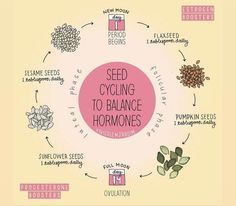 Hormone Diet, Seed Cycling, Healthy Hormones, Balance Hormones, Menstrual Health, Fitness Ideas, Hormonal Acne, Hormone Health