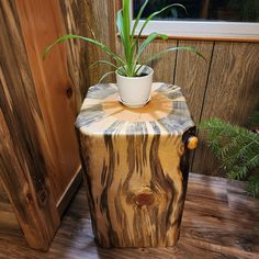 a potted plant sitting on top of a wooden stool