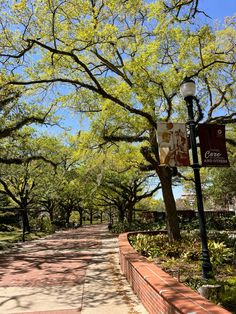 an empty street with trees lining both sides and a sign on the sidewalk in front of it