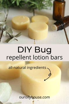 Bug Repellent Lotion, Diy Bug Repellent, Herbal Remedies Recipes, Salve Recipes, Diy Kosmetik, Lotion Bar, Herbal Recipes, Homemade Soap Recipes