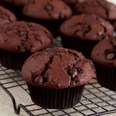 chocolate muffins cooling on a wire rack, ready to be eaten by someone