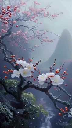 a tree with white flowers in the foreground and a waterfall in the back ground