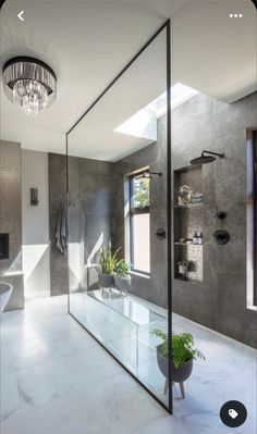 a bathroom with a large glass shower and white tile flooring, along with a potted plant in the corner