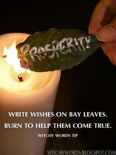 Magick Spells, Herbal Magic, Baby Witch, Witch Spell, Money Spells, Wiccan Spells, Spells Witchcraft, Bay Leaves