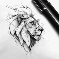 a pencil drawing of a lion's head on top of a piece of paper