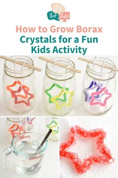 how to grow borax crystals for a fun kids'activity with text overlay