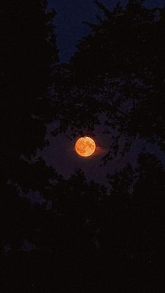 the moon is seen through some trees at night