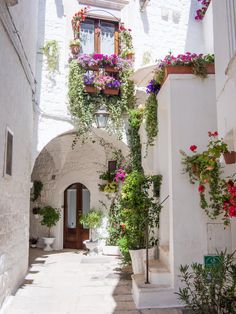 an alleyway with potted plants and flowers on the windowsills, in front of a white building