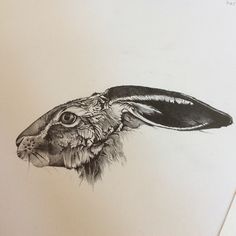 a black and white drawing of a rabbit's head