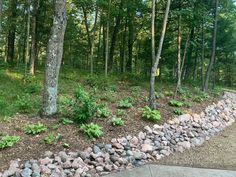 a rock garden in the middle of a wooded area