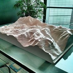 a sculpture is sitting on top of a table in front of a plant and window