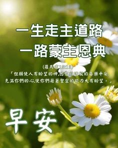 an advertisement for daisies with chinese writing in the foreground and flowers in the background