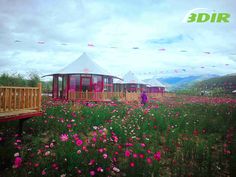 a field full of pink flowers next to a wooden bench and some tents in the background