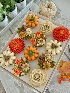 cupcakes decorated with flowers and leaves on a tray