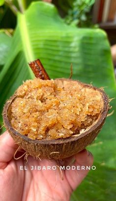 a person holding up a small coconut in front of some plants and leaves with a bug crawling on it