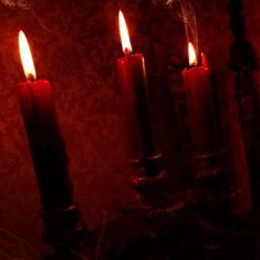 three lit candles sitting on top of a table next to a wallpapered wall