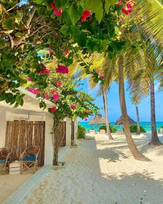 the beach is lined with palm trees and chairs