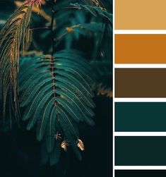 the color palette is green and brown