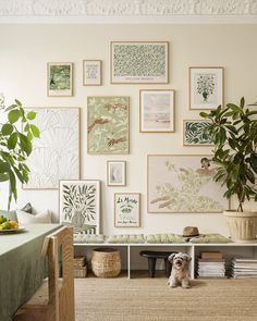 a dog sitting in the middle of a room with many pictures hanging on the wall