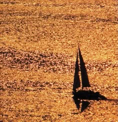 a lone sailboat is silhouetted against the golden sun on the water's surface