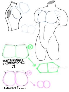 how to draw a male body in 3 easy steps