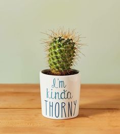 a small cactus in a white ceramic pot that says i'm kindaa thorny