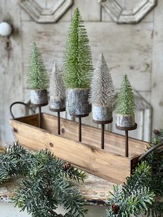 small evergreen trees are placed in a wooden box