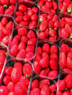 many plastic containers filled with strawberries on display