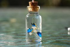 a glass bottle filled with blue and white butterflies