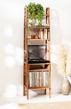 a wooden shelf with books, dvd's and plants on it next to a rug