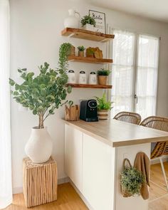 a white kitchen with wooden shelves and plants on the counter top, along with wicker chairs