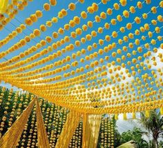 a bunch of yellow flowers hanging from the side of a blue sky filled with clouds