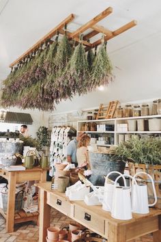 people working in a flower shop with plants hanging from the ceiling and shelves full of potted plants