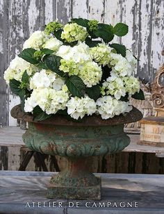 a vase with white flowers in it sitting on a table