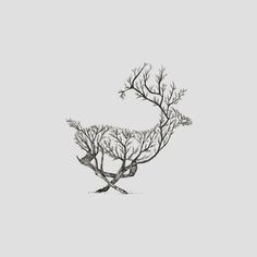 a drawing of two trees in the shape of a letter c on a gray background