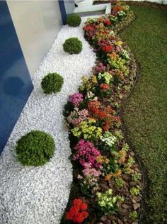 an outdoor garden with flowers and gravel