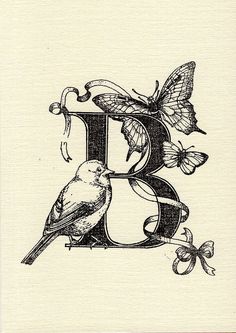 the letter b is decorated with flowers and butterflies, as well as a bird sitting on it