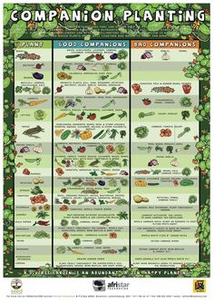 a poster showing the different types of plants