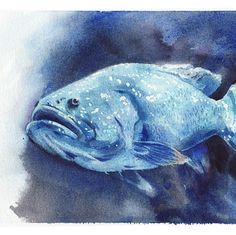 a watercolor painting of a fish with bubbles on it's body and mouth